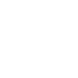 Icono de play en color blanco.